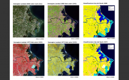 La classificazione delle immagini satellitari in serie temporale nel Delta del Po