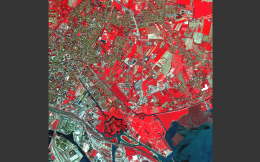 L'immagine acquisita dal satellite WorldView-2 nel territorio di Mestre in una composizione RGB a falsi colori