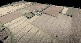 Una nuvola di punti 3D estratta da un rilievo aereo su area agricola