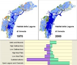 Un esempio di change detection applicata agli habitat della Laguna di Venezia