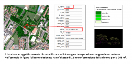 La contabilizzazione delle alberature