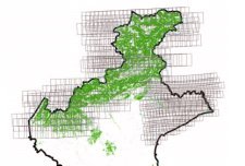 Progetto Foreste